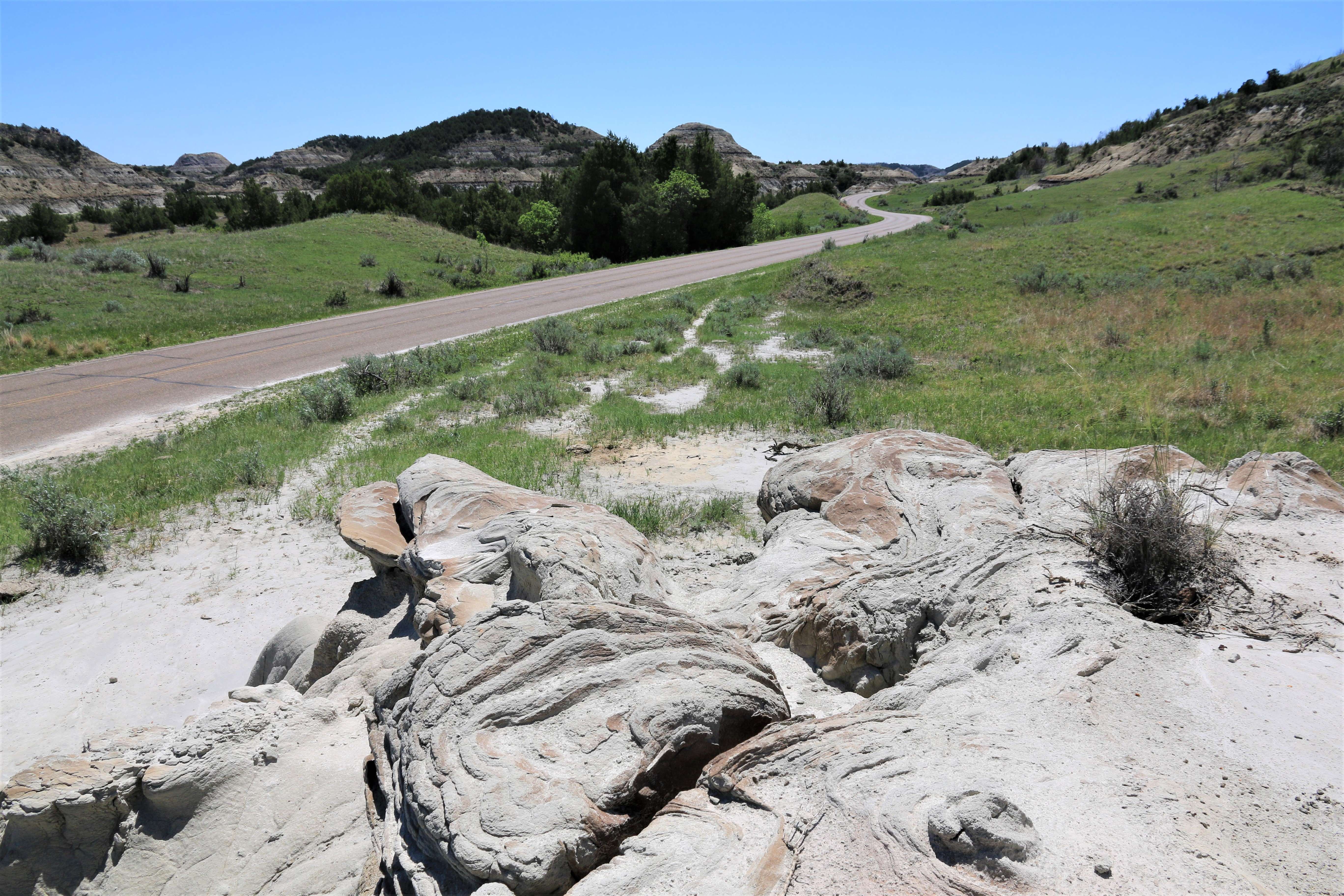 Theodore Roosevelt NP